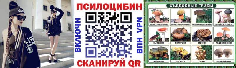 где продают   Бодайбо  Галлюциногенные грибы ЛСД 